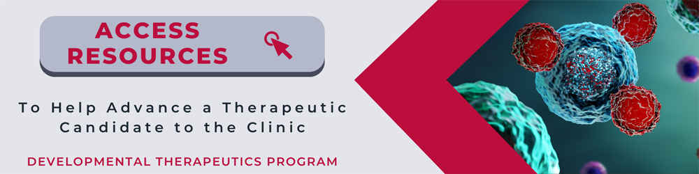 Access Help Here: Advancing a Therapeutic Candidate to the Clinic, from the Developmental Therapeutics Program