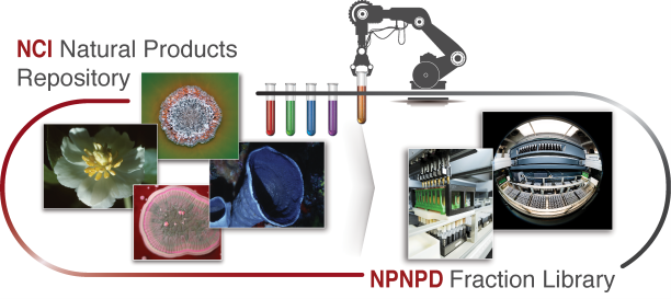 The NCI Program for Natural Product Discovery (NPNPD) Prefractionated Library