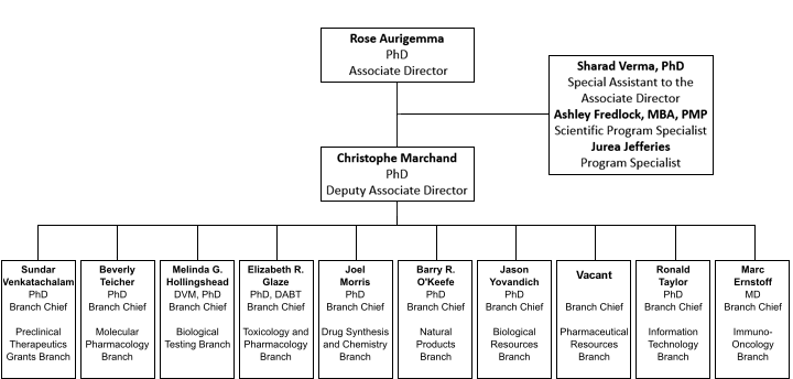 DTP organization chart