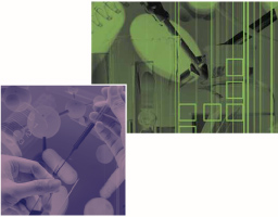 Images used to give the page some color