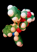 Taxol molecule.